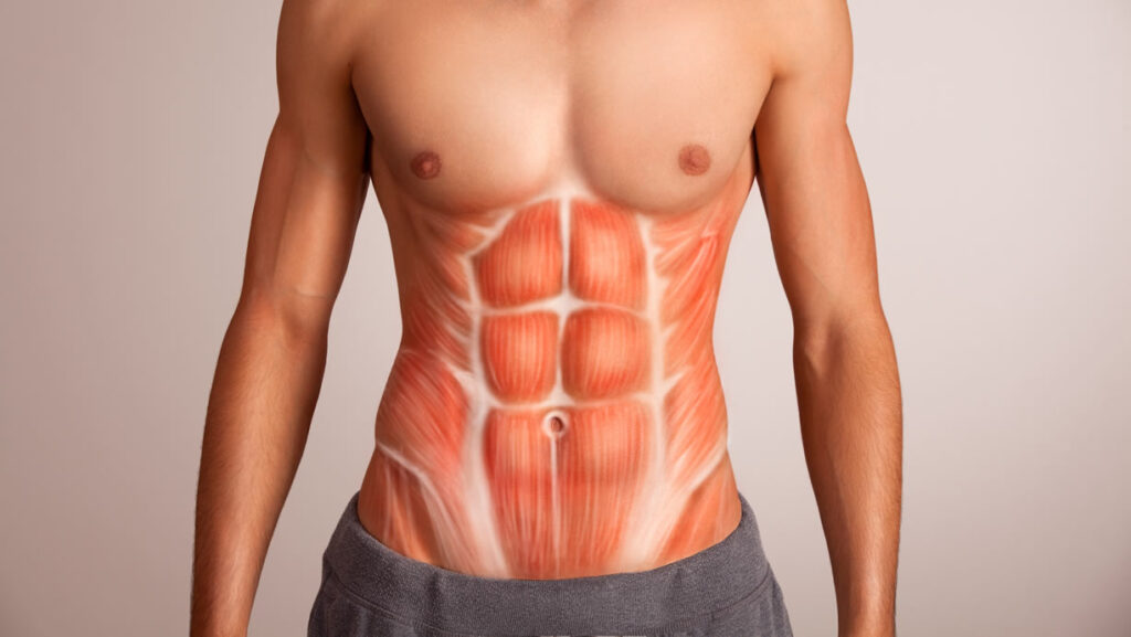Mini Abdominoplastia
